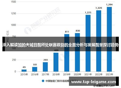深入解读加的夫城目前所处联赛级别的全面分析与发展前景探讨趋势