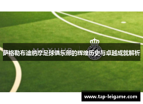 萨格勒布迪纳摩足球俱乐部的辉煌历史与卓越成就解析