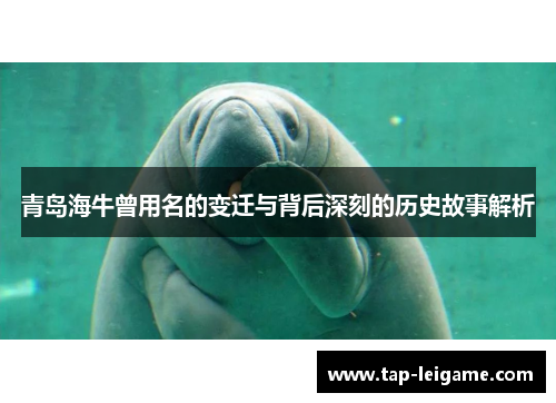 青岛海牛曾用名的变迁与背后深刻的历史故事解析